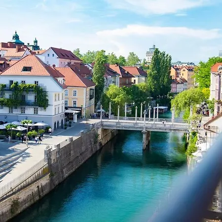 Apartment Gallus' Secret Romance